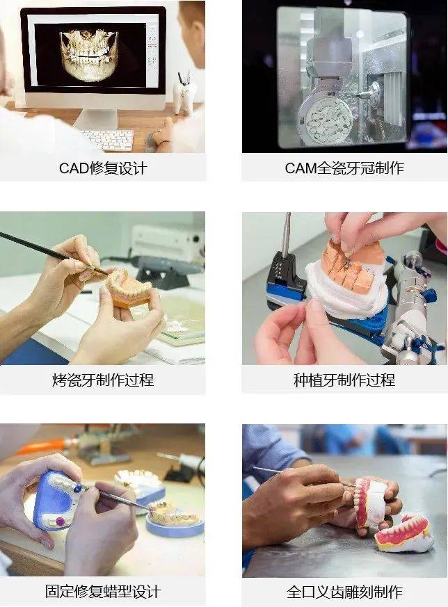 口腔义齿制造专业 | 医药数智技术,就业有高薪 升学有保障
